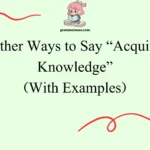 Other Ways to Say “Acquire Knowledge”