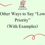 Other Ways to Say “Low Priority”