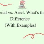Aerial vs. Ariel: What’s the Difference