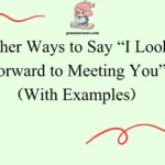 Other Ways to Say “I Look Forward to Meeting You”