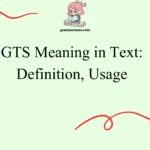 GTS Meaning in Text: Definition, Usage