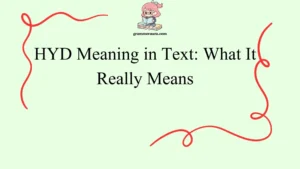 HYD Meaning in Text: What It Really Means