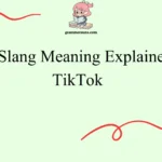 Jit Slang Meaning Explained: TikTok