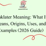 Linklater Meaning: What It Means, Origins, Uses, and Examples
