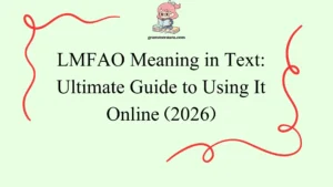 LMFAO Meaning in Text