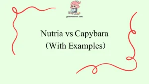 Nutria vs Capybara