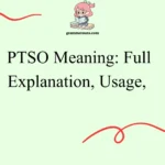 PTSO Meaning: Full Explanation Usage