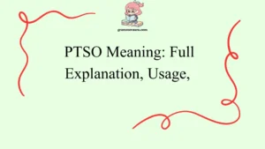 PTSO Meaning: Full Explanation Usage
