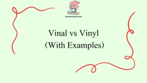 Vinal vs Vinyl