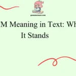 WTM Meaning in Text: What It Stands