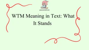 WTM Meaning in Text: What It Stands