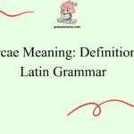 Arcae Meaning: Definition, Latin Grammar
