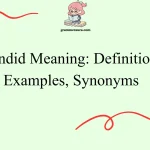 Candid Meaning: Definition, Examples, Synonyms