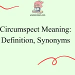Circumspect Meaning: Definition, Synonyms