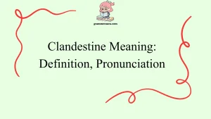 Clandestine Meaning: Definition, Pronunciation