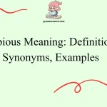 Copious Meaning: Definition, Synonyms, Examples