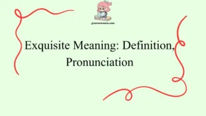 Exquisite Meaning: Definition, Pronunciation