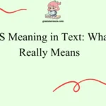 IDTS Meaning in Text: What It Really Means