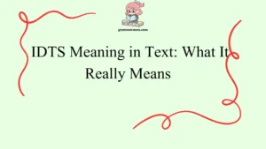 IDTS Meaning in Text: What It Really Means