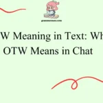 OTW Meaning in Text: What OTW Means in Chat