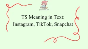 TS Meaning in Text: Instagram, TikTok, Snapchat