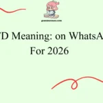 WTD Meaning: on WhatsApp