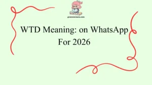 WTD Meaning: on WhatsApp