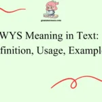 WYS Meaning in Text: Definition, Usage, Examples